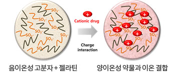 약물탑재 간암 치료 미립구 추가 이미지